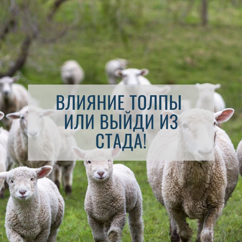 ����� � �������: ��� �� ����� ������� ��������� ��������