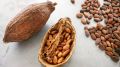Какао: вкусный способ защитить сердце от сидячего образа жизни