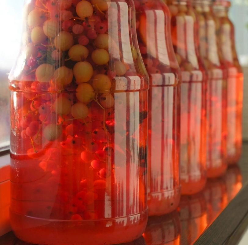 ���������� ������ � �����������: ������ ��� ��� ������ �����