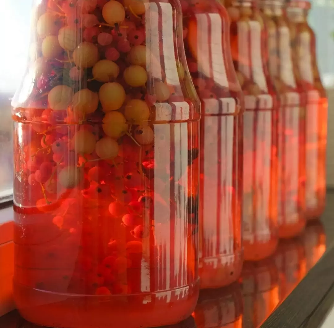 Освежающий мохито с крыжовником: летний хит для вашего стола