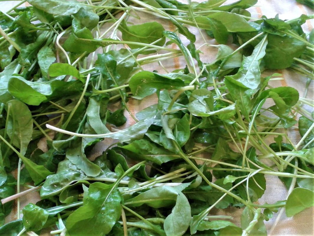 �������� ������: ���������� ����� � ������� ������