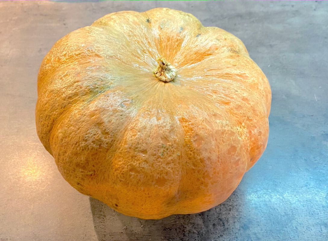 ������ �������� � ������� � ������: ������� ������ ��� ��������