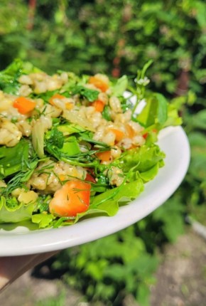 ����� � ���������: ����� ������ �� ��������� �����