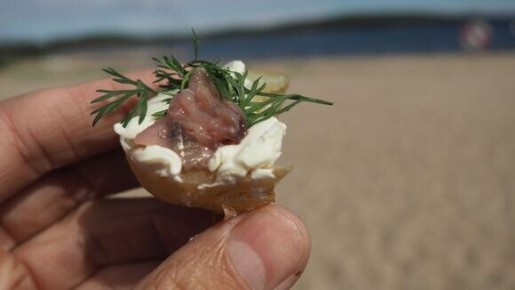 ����� ���������� ����� ����, ������� �������� ��� ������������