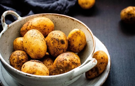 ���������� ��������� � ���������� �������: ������������ ������� �� ������ ����