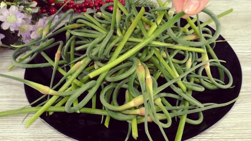 ��������� �������: �� ����� � ��������� � ������� � ������� ������ �������