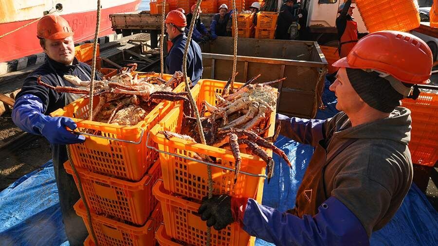 Рост экспорта российских крабов в Китай: что стоит за 15% увеличением