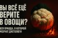 Овощи: Мифы о здоровье, которые стоит развенчать