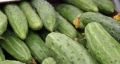 Как кризисы цен на продукты помогают избежать новых скачков